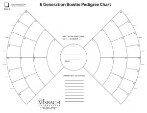 Bow tie chart | Misbach Enterprises