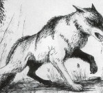 Le loup et la rage | Le loup, Seigneur des Forêts et de mon Coeur